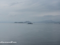 1000 Island 2-10
