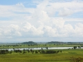 DRC-229