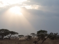 Serengeti-49