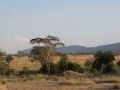 Serengeti-76