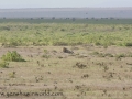 Amboseli 2-116