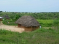 Angola-291