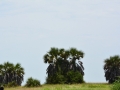 Angola-345