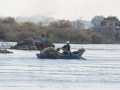 aswan-Elephantine-Felucca-3