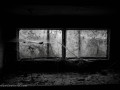 DSC_0017