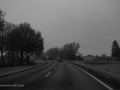 DSC_0018