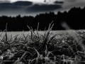 DSC_0032
