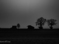 DSC_0043