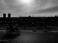 DSC_1536