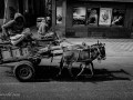 DSC_1810