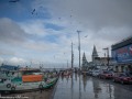 DSC_1239