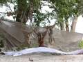 Benin-327