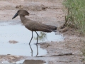 South-Luangwa-1-20