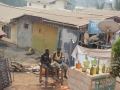 Cameroon-28