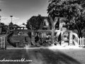 DSC7042