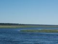 chobe-47