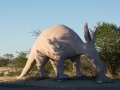 chobe-7
