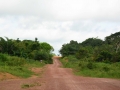 Congo-25