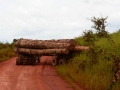 Congo-78