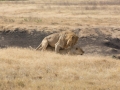 Ngorongoro Crater-115