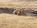 Ngorongoro Crater-118