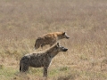 Ngorongoro Crater-171