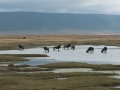 Ngorongoro Crater-21