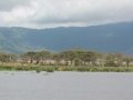 Ngorongoro Crater-239