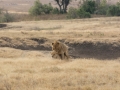 Ngorongoro Crater-67
