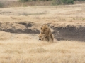 Ngorongoro Crater-74
