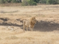 Ngorongoro Crater-77