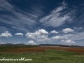 DSC5581