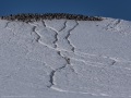 DSC8901