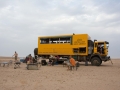 desert-11