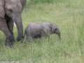 South-Luangwa-3-1-37