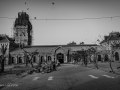 DSC_1985