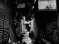 DSC_1999