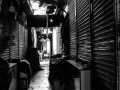 DSC_2031