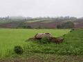 Ethiopia-403