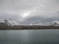 DSC_5463
