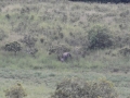 Gabon-151