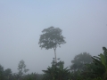 Gabon-200
