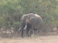 Ghana-142