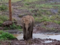 Kenya-12