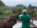 Kenya-14
