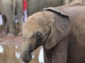 Kenya-33
