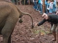 Kenya-50
