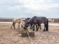 Inner Mongolia-29