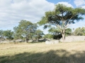 Great Zimbabwe-31