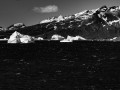 Grytviken-Z9-519